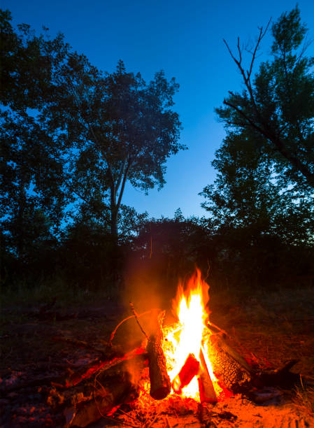 istock closeup camp fire burning on forest glade at the twilight 1400752555