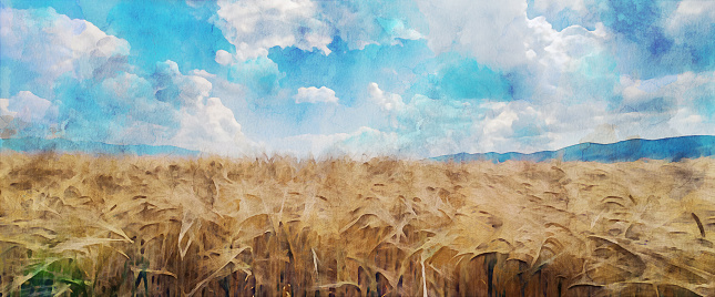 Watercolor effect of a golden grain /wheat field view in the Vipava Valley during springtime / early summer. Karst hills and blue cloudy sky in the background over the horizon. Watercolor effect on a photography.