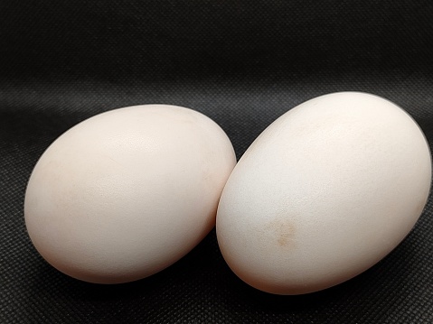 eggs on a black background