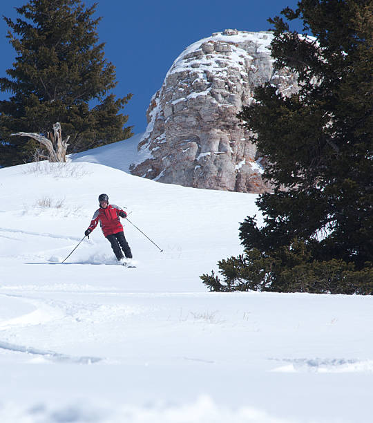 성숙한 수컷 스키어, 부수입, 콜로라도, usa. - skiing sports helmet powder snow ski goggles 뉴스 사진 이미지