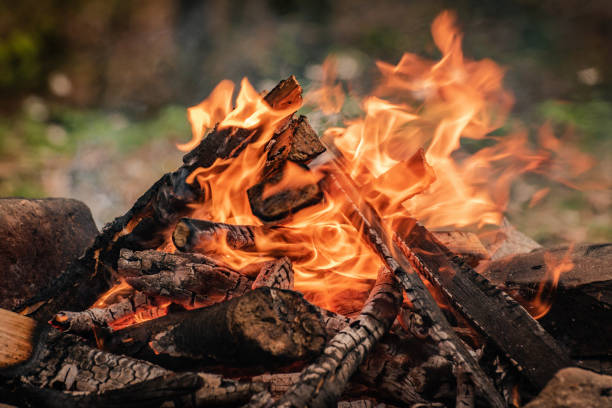 istock Firewood fire on the bank of a mountain spring river 1400760507