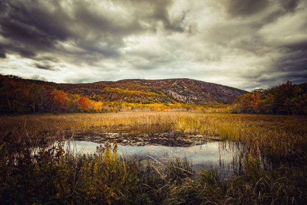 Fall in the Acadia National Park with colorful fall foliage and dramatic clouds