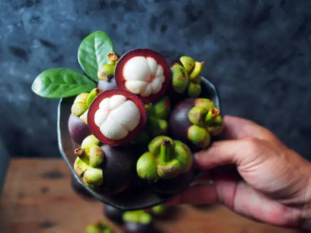 Man's hand holding dish of mangosteen fruit, Queen of fruits in Thailand.