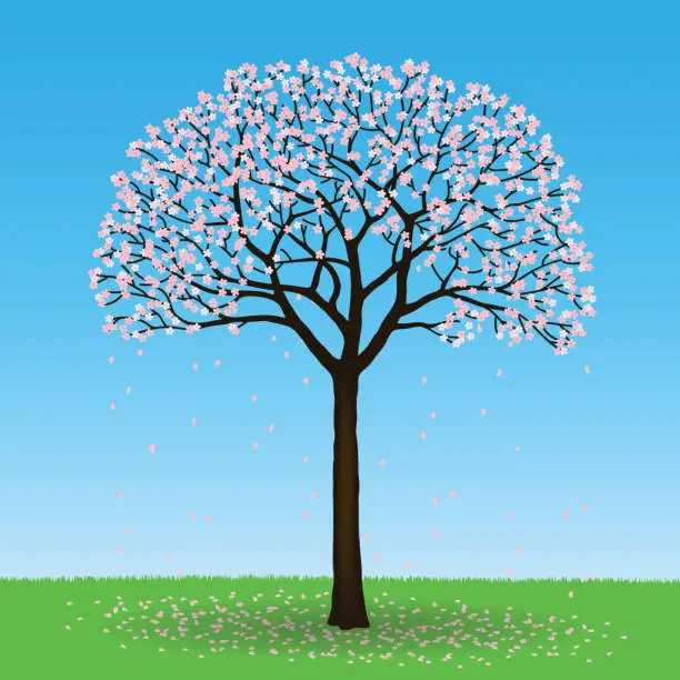 Vector illustration of Freehand drawing of a tree with flowers, vector illustration.