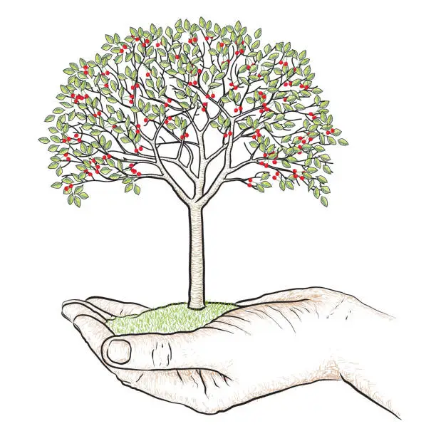 Vector illustration of Freehand drawing of cherry tree in the palm of a hand, vector illustration.