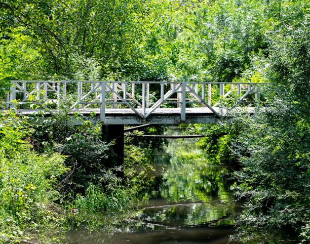 istock footbridge at a natural parkland 1400764545