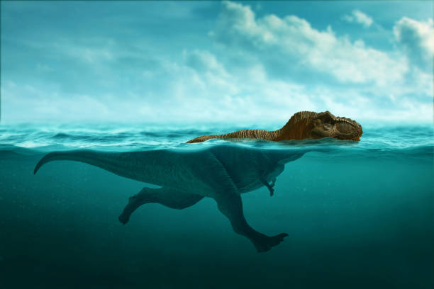 Dinosaur 3d rendering, Tyrannosaurus Rex swimming stock photo