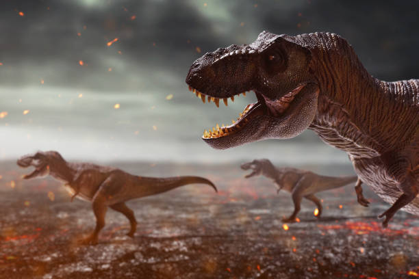 istock Dinosaurs 3d rendering, tyrannosaurus rex on top mountain 1400771280
