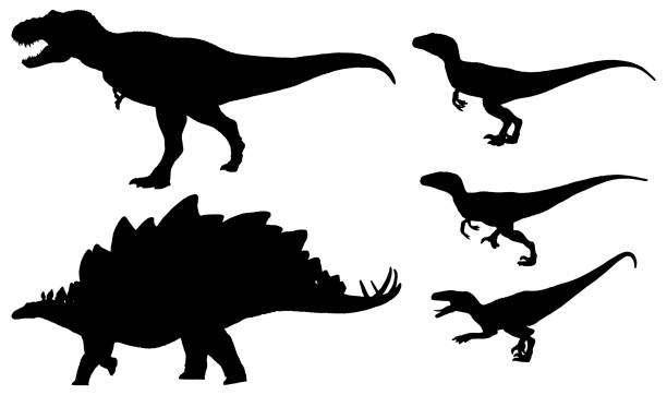 siluetta dei dinosauri isolati su priorità bassa bianca - stegosauro foto e immagini stock