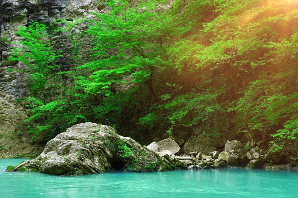 istock Beautiful landscape blue emerald lake among the forest. 1400775474