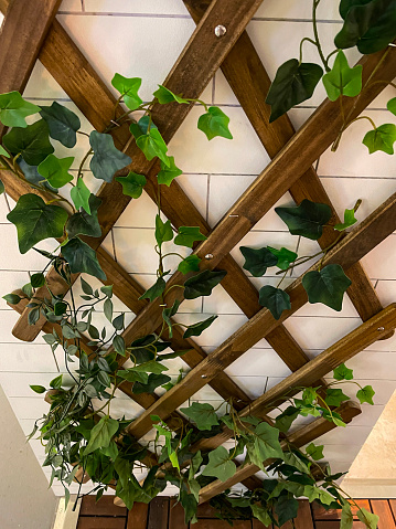 Stock photo showing an artificial living wall, greenery backdrop with plastic leaves of trailing fake ivy plants hanging on feature white tiled wall with wooden garden trellis. The plants are maintenance free and are ideal for outdoor or indoor decoration. Home decor concept