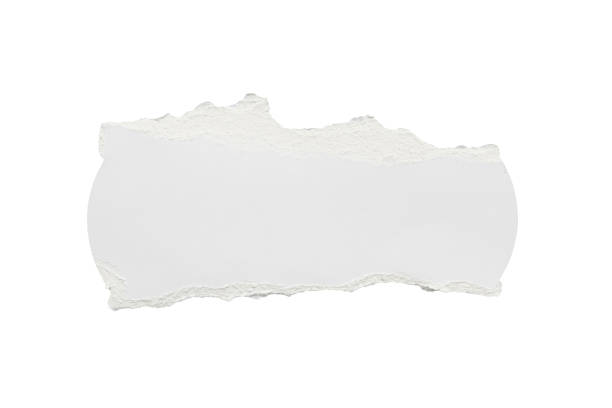 papel rasgado blanco bordes rasgados tiras aisladas sobre fondo blanco - chatarra fotografías e imágenes de stock