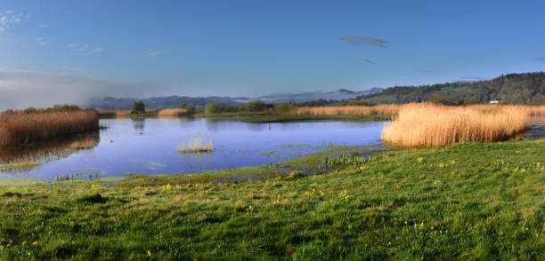 istock Lagoons at RSPB Nature Reserve 1400780001
