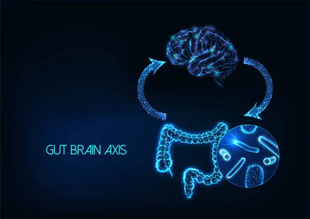 Vector illustration of Futuristic gut brain axis, microbiome and mood connection concept with intestine, brain, gut flora