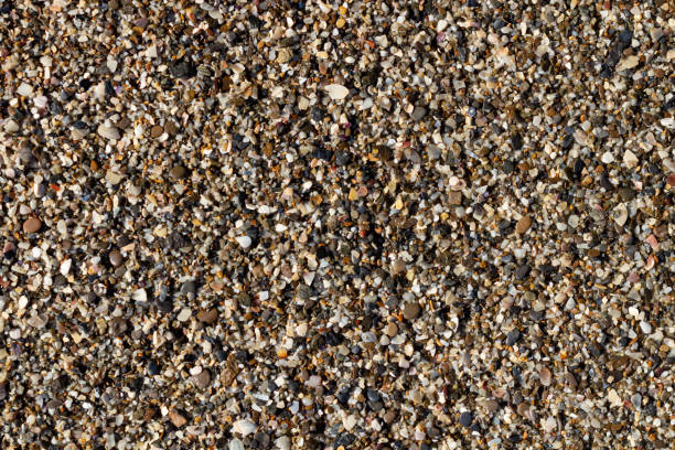 istock sea stone texture with many seashells. beautiful textured background. 1400782268