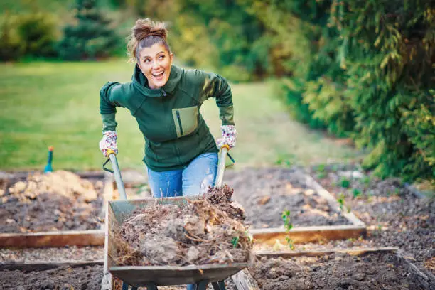 Picture of woman working with tools in the garden. High quality photo