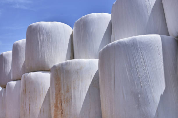 istock round straw bales packed in white plastic against a blue sky 1400789949