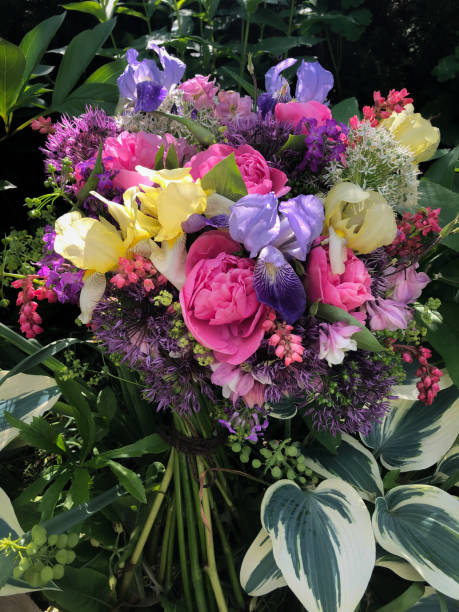 istock Romantic bouquets of spring flowers 1400790584