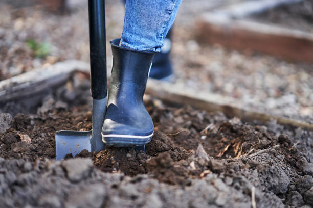 istock Young Happy woman with garden tools working 1400790730