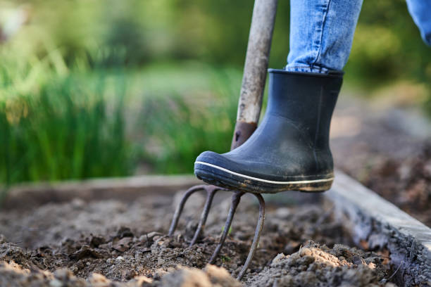 istock Young Happy woman with garden tools working 1400790799