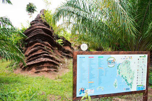 Fossilized stromatolite stone or fossil stromatoliths rock in geological heritage of UNESCO Geopark for thai people travelers travel visit learn educate at La ngu on April 11, 2022 in Satun, Thailand