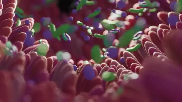 Photo of Microbiome intestine factories and microbiota. Gut health 3d render. Microvilli with factories in intestine