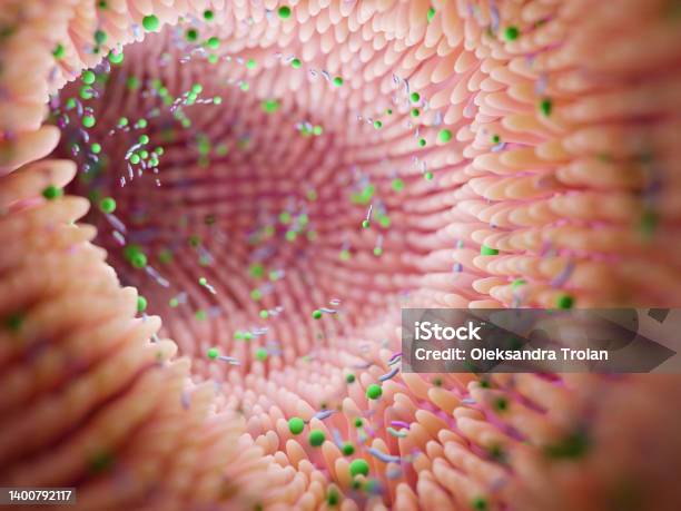 Microbiome Intestine Factories And Microbiota Gut Health 3d Render Microvilli With Factories In Intestine Stock Photo - Download Image Now