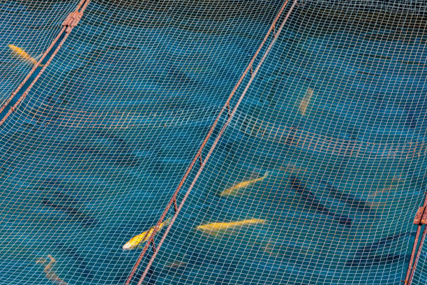 istock fish cage at aquaculture farm closeup 1400793382