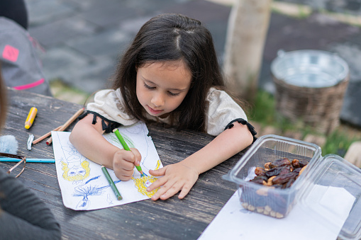 Child Girl Drawing Picture Outdoors in Summer