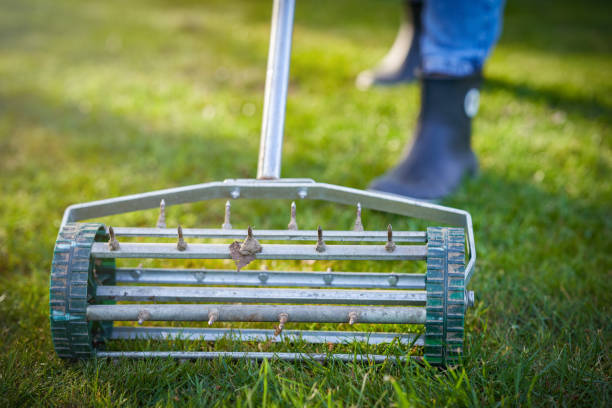 Picture of grass aerator on the green lawn stock photo