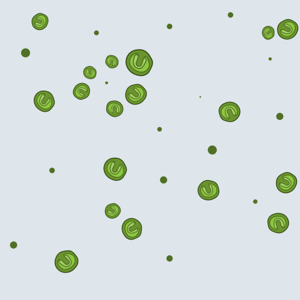 Microalgae Vector Images 90+ Microalgae Stock Illustrations, Royalty-Free Vector Graphics & Clip ...