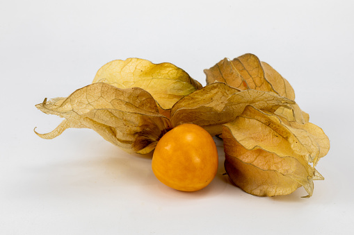 Fresh Physalis Fruit - Cape Gooseberry - Golden berries - isolated in plain white background - macro detailing - studio lighting - ample copy space