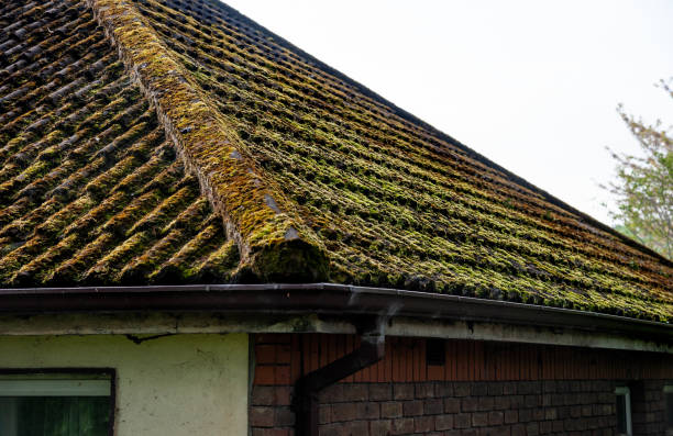 istock Old tiled roof cover with moss 1400799885