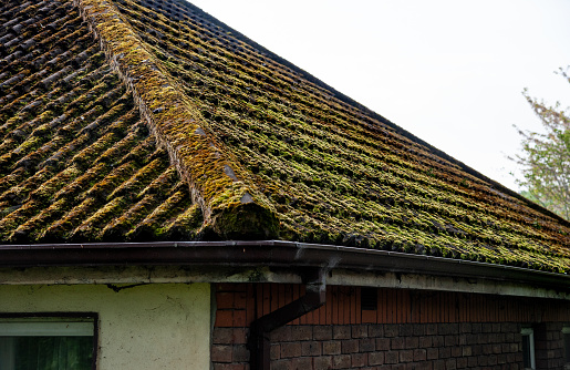 Old tiled roof cover with moss, Lucan village, Ireland,