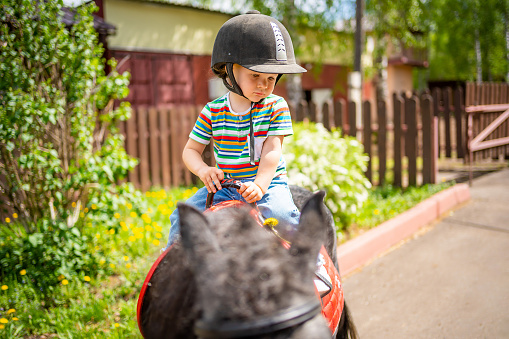 Beautiful little girl two years old riding pony horse in big safety jockey helmet posing outdoors on countryside . High quality photo