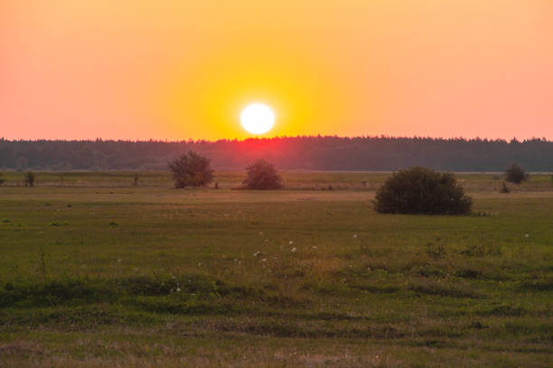 istock the sunset over the field 1400809778