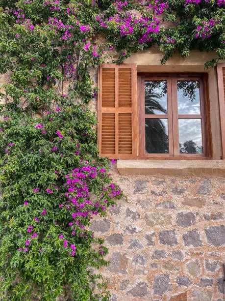 Photo of facade with purple bouganvilla flowers
