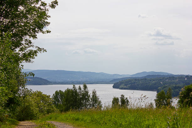 istock meadow on the lakeshore 1400811234