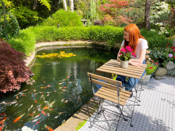 Stock photo showing ornamental Japanese-style garden with koi fish pond and outdoor dining area. Featuring a large expanse of white, interconnecting, white plastic decking tiles, providing a family space for outdoor hardwood seating. imagen en primer plano de una atractiva joven pelirroja mirando peces sentados en el comedor al aire libre, mesa plegable de madera y sillas al lado del estanque de peces con calico estampado, peces de colores shubunkin nadando con carpa koi, enfoque en pr