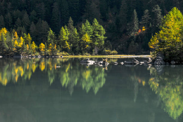 In the Swiss Alps