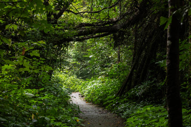 istock path for visiting Thi Lor Su Waterfall, Umphang, Tak, Thailand 1400819451
