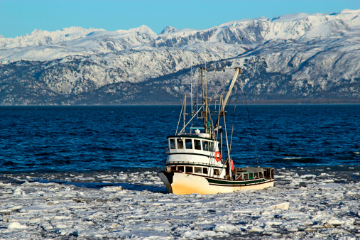 Classic fishing boat traveling through ice in the Kachemak bay near Homer, Alaska with the Kenai mountains in the background on a sunny winter day.