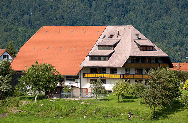 istock House in the Black-forest 140082178