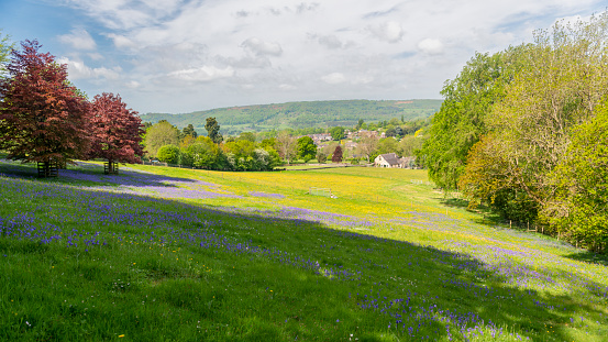 Springtime scene over flower-covered fields near Matlock in Derbyshire, England.