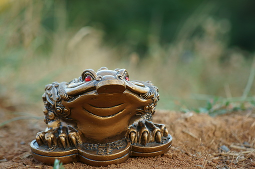 Metal toad figurine close-up. The symbol of Feng shui.