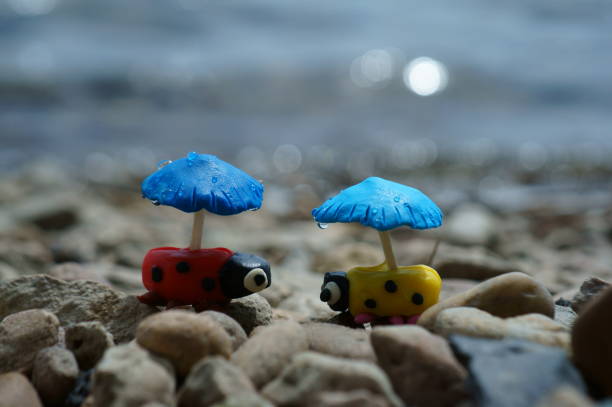 Figurines of two ladybirds with umbrellas on the river bank. A romantic couple. A symbol of love. Feelings and emotions.