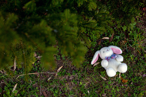 small white stuffed bunny lying on the floor in the forest