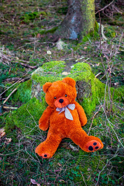 istock brown teddy bear sitting by tree stump in forest 1400827268