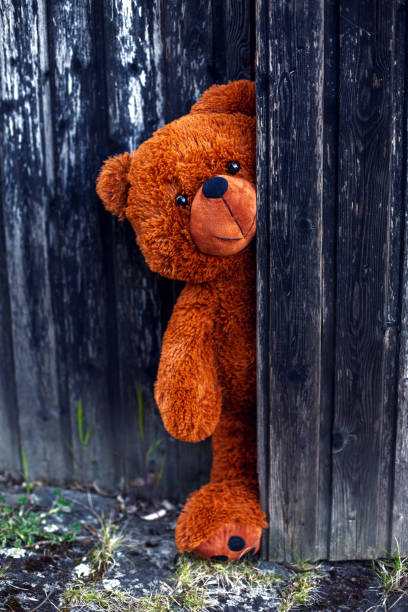 istock brown teddy bear lurking behind a rustic wooden barn door 1400827335