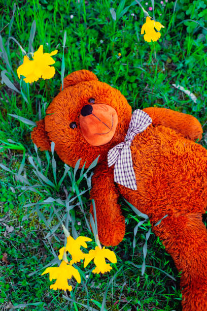 istock brown teddy bear lying in the green grass 1400827853